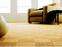 Carpet Cleaning Manhattan Beach