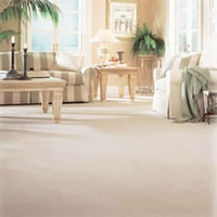 Carpet Cleaning