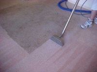 Green Carpet Cleaning in Torrance