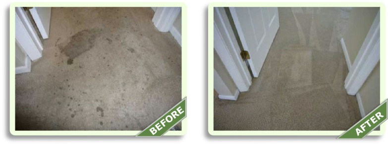 Carpet Cleaning Manhattan Beach - Before & After