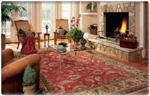 Easy to Clean Area Rugs