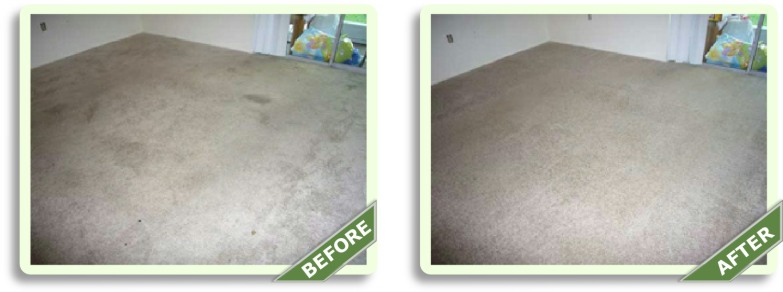 Before & After Pictures Carpet Cleaning Hermosa Beach