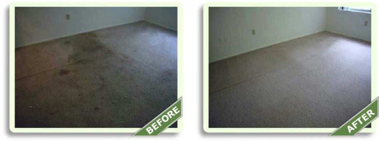 Before & After Pictures Carpet Cleaning Manhattan Beach