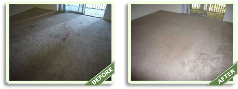 Before & After Pictures Carpet Cleaning Torrance