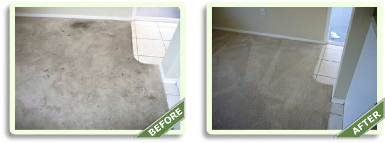 Before & After Pictures Carpet Cleaning Hawthorne