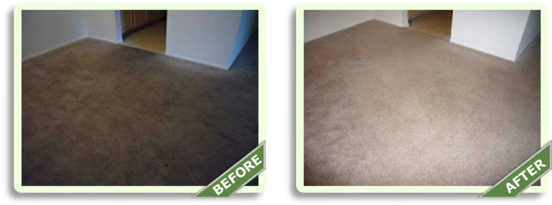 Before & After Pictures Carpet Cleaning Rolling Hills