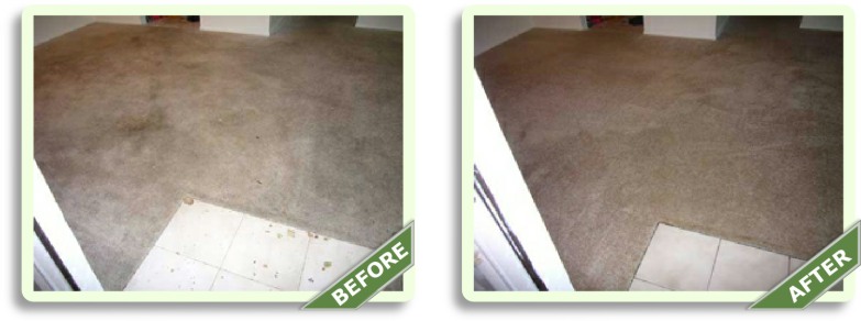 Before & After Pictures Carpet Cleaning Palos Verdes