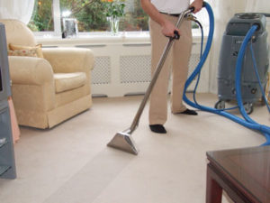 Professional Carpet Steam Cleaning Service South Bay