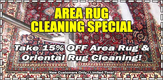 Area Rug Cleaning Special South Bay