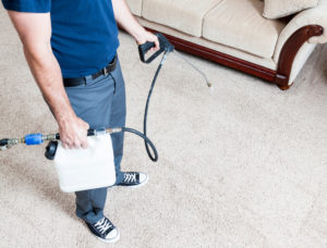 Professional Carpet & Upholstery Protective Guard Service in the South Bay area